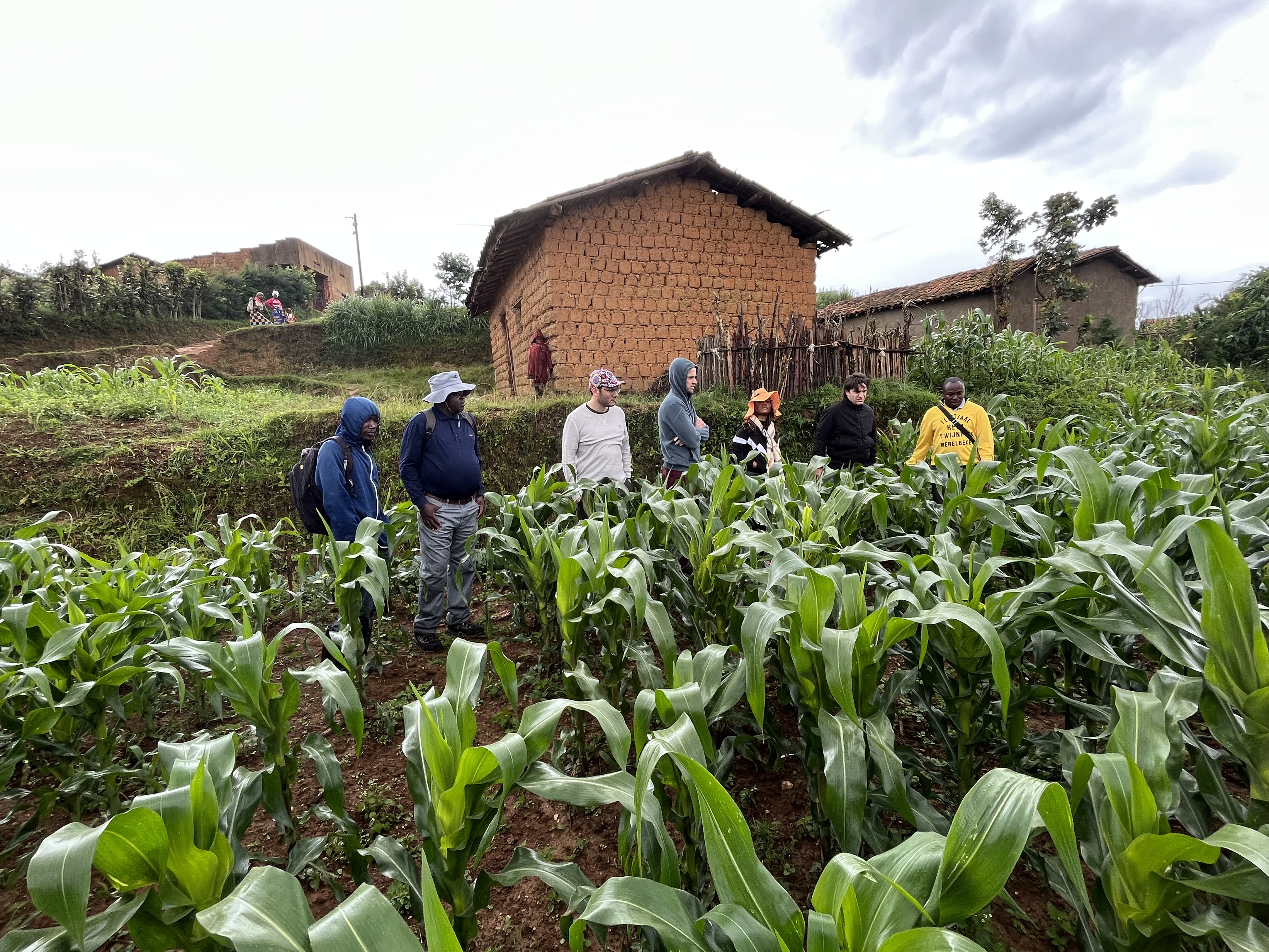 Niche - Optimising Crop Variety Placement in Sub-Saharan Africa ...